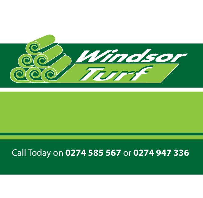 Windsor Turf - Windsor Turf - Windsor Green Ready Lawn